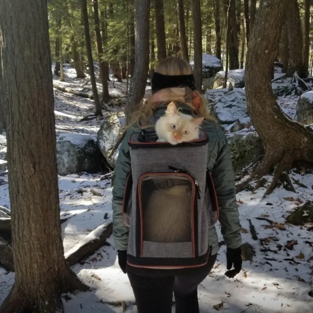 Pet carrier backpack